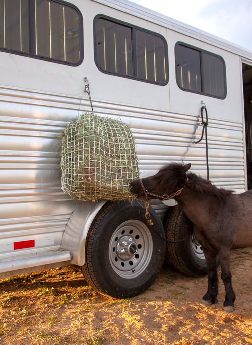 Freedom Feeders Trailer/Mini Slow Feeding Net - White