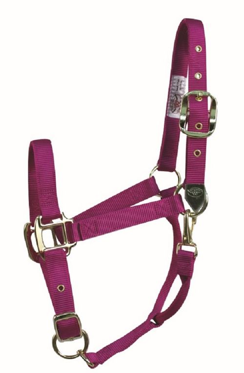 Western Rawhide Signature Classic Halter w/Snap - Fuchsia