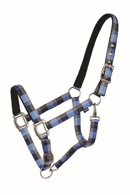 Western Rawhide Country Legend Nubuck Padded Halter - Navy/Baby Blue/Grey