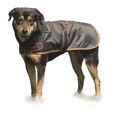 Western Rawhide Century Tiger Deluxe 420D Dog Coat - Khaki