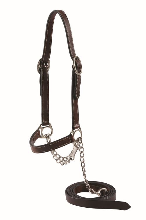 Western Rawhide Country Legend Cow Halter - Dark Oil