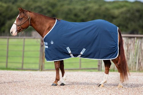 Amigo Polyester Stable Sheet - Navy/Silver