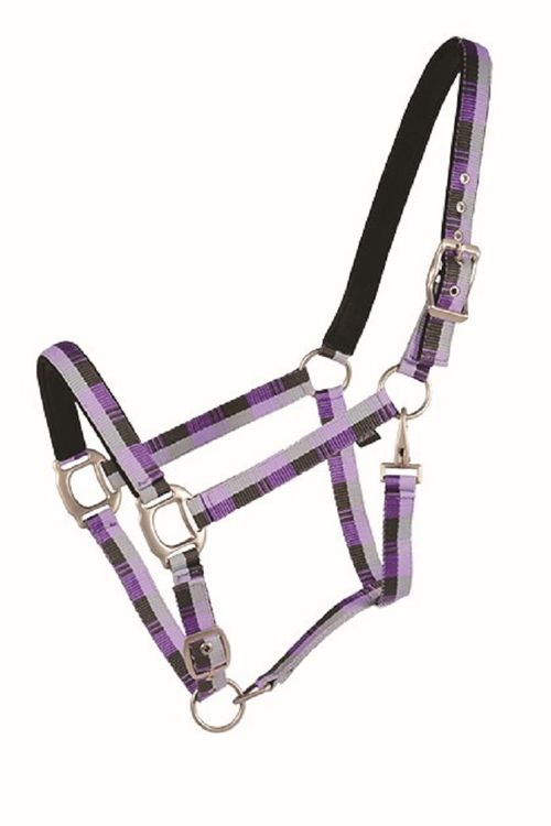 Western Rawhide Country Legend Nubuck Padded Halter - Purple/Grey/Charcoal