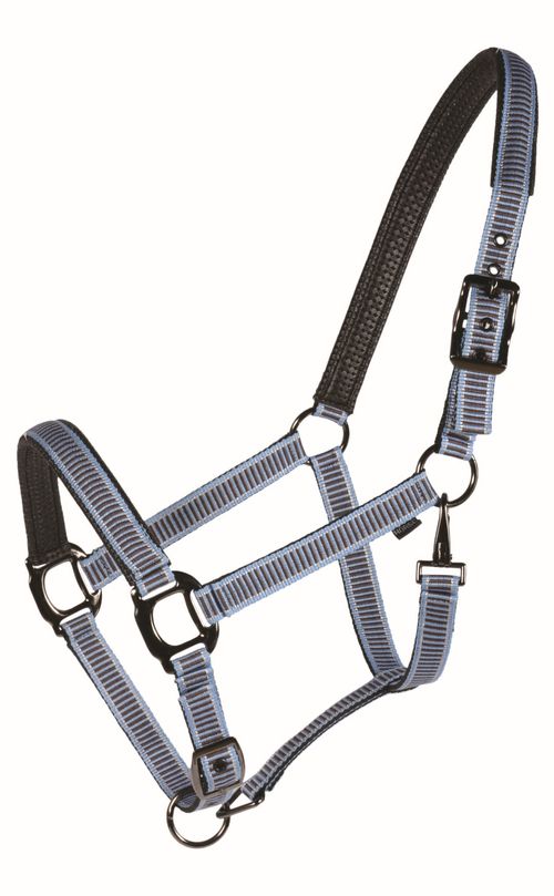 Western Rawhide Country LegendDesigner Padded Halter - Baby Blue/Brown