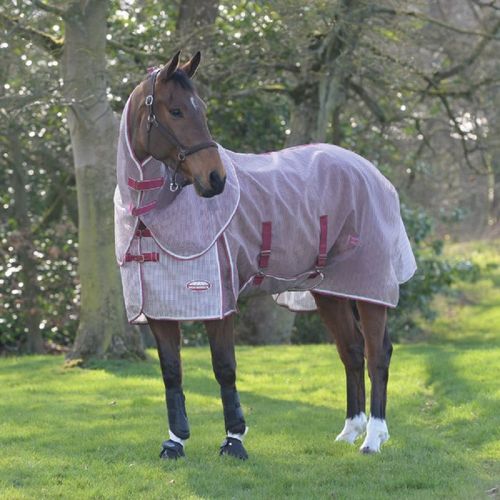 Weatherbeeta Comfitec Ripshield Plus Detach A Neck With Belly Wrap Fly Sheet - White/Burgundy