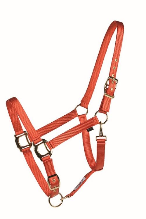 Western Rawhide Country Legend Soft-Touch Halter - Burnt Orange
