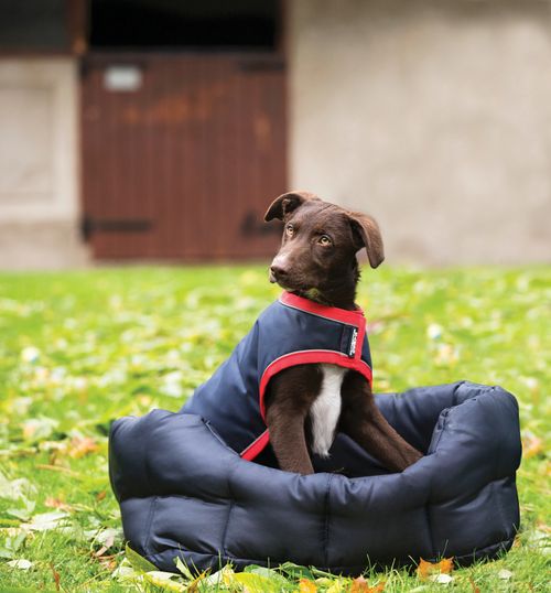 Rambo Waterproof Dog Rug 100g - Navy/Red