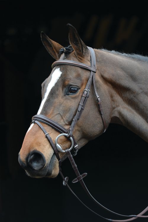 Collegiate Comfort Crown Padded Raised Flash Bridle - Brown
