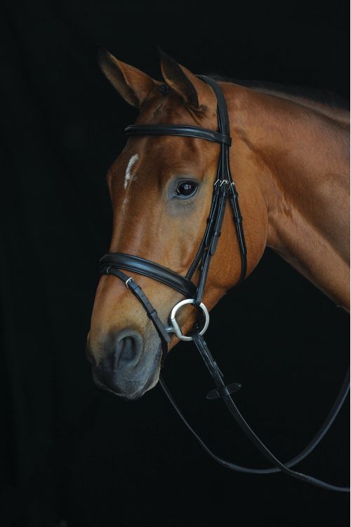 Collegiate Comfort Crown Padded Raised Flash Bridle - Black