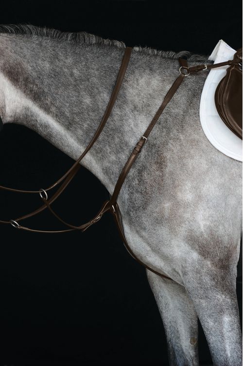 Collegiate Hunter Breast Plate IV - Brown