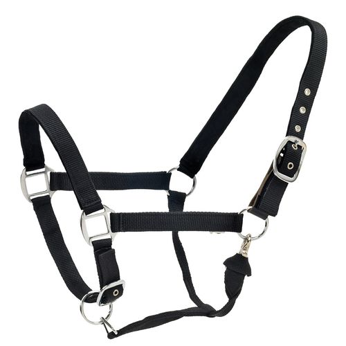 Centaur Cushion Web Breakaway Halter - Black