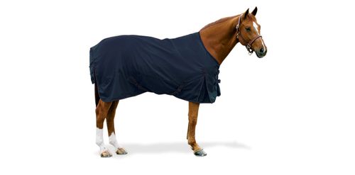 Equi-Essentials 600D Turnout Sheet - Navy