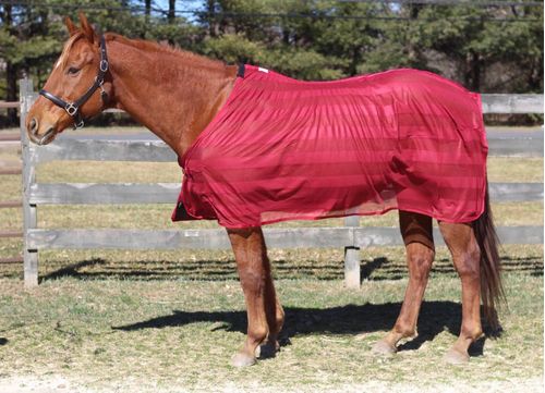TuffRider Scrim Sheet - Burgundy