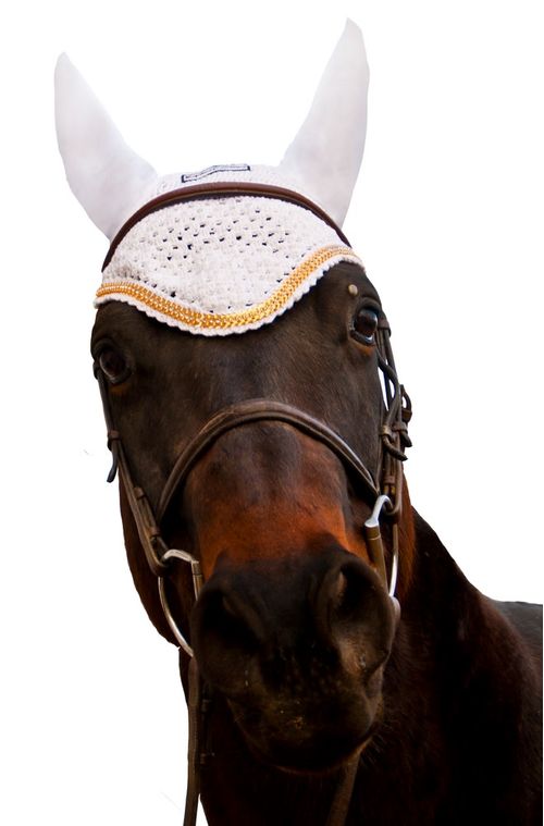 Equine Couture Fly Bonnet with Gold Chain - White