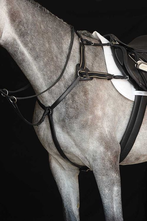 Collegiate 5-Point Breastplate IV - Black