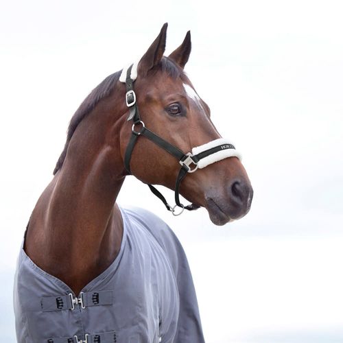 Horze Howard Halter - Black