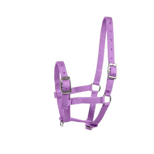Horze Foal Halter - Purple