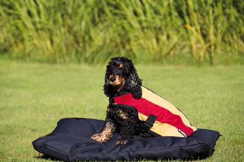 Rambo Deluxe Dog Rug - Witney Gold