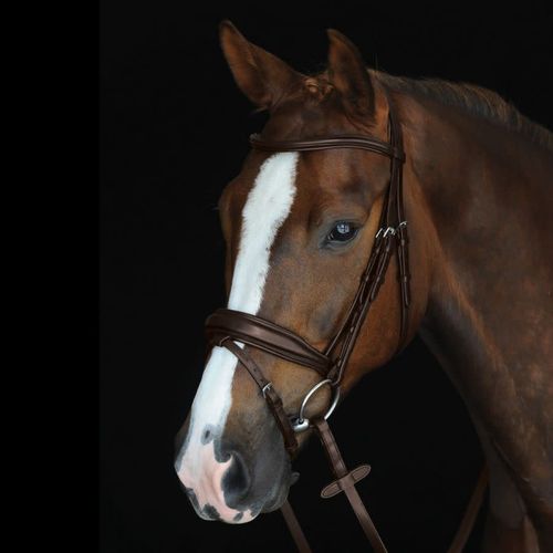 Collegiate Mono Crown Padded Raised Flash Bridle - Brown