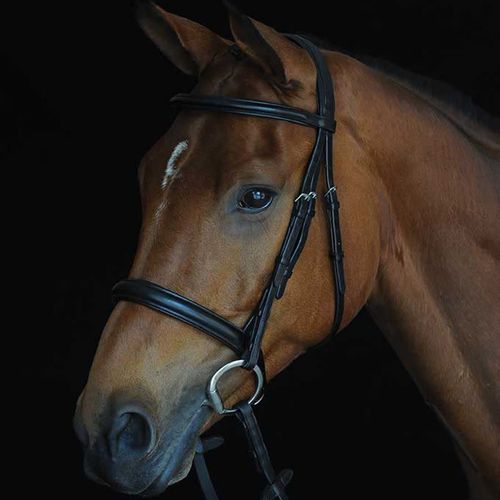 Collegiate Comfort Crown Padded Raised Cavesson Bridle - Black
