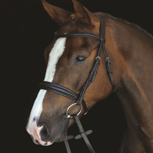 Collegiate Mono Crown Padded Raised Cavesson Bridle - Black
