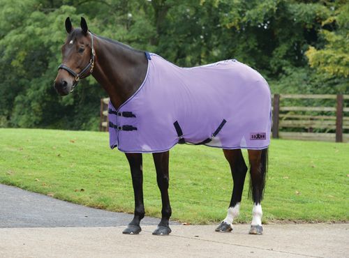 Saxon Element Net Cooler Standard Neck - Purple/Navy