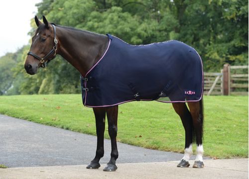 Saxon Element Net Cooler Standard Neck - Navy/Pink