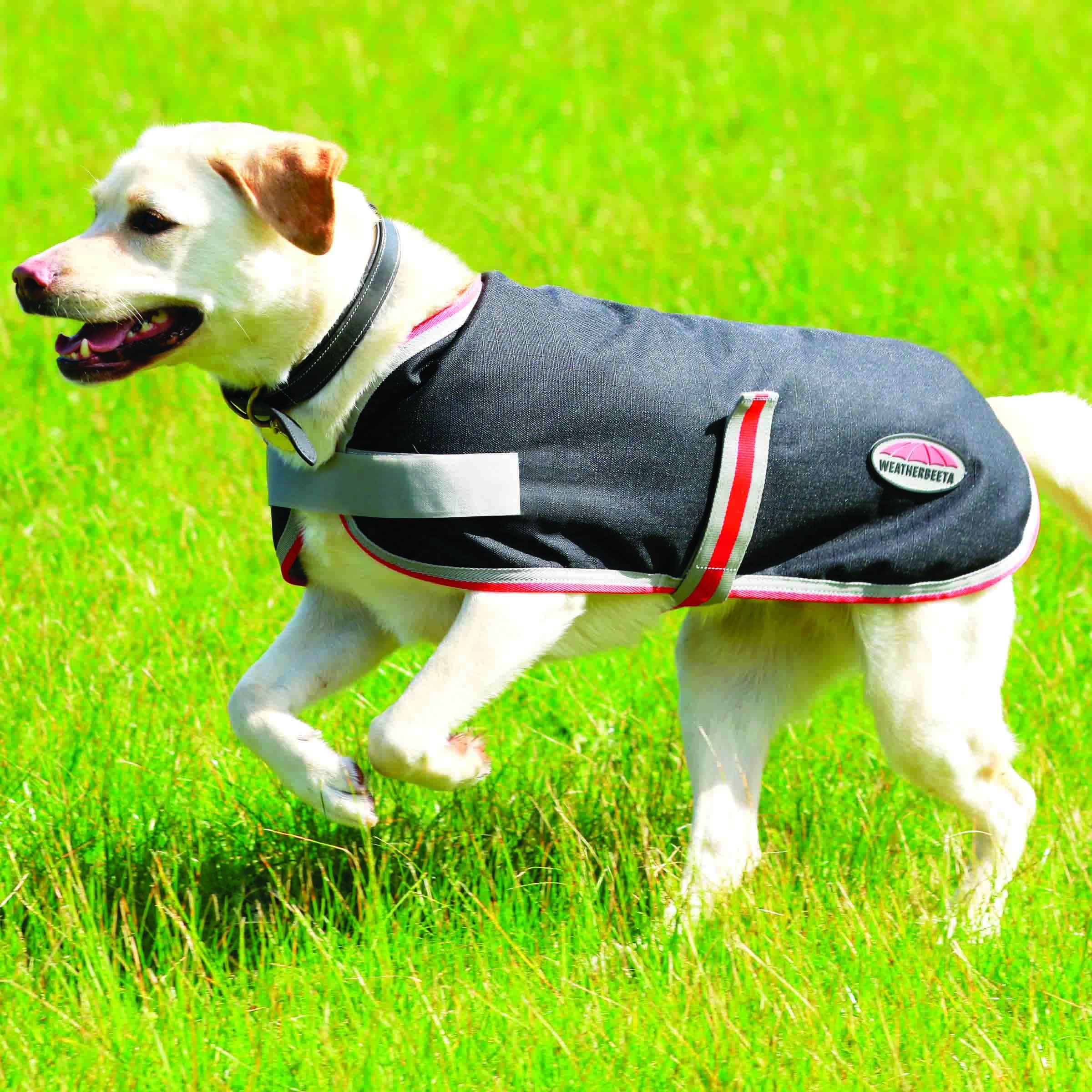 Weatherbeeta Comfitec 1200D TherapyTec Dog Coat Black/Silver/Red