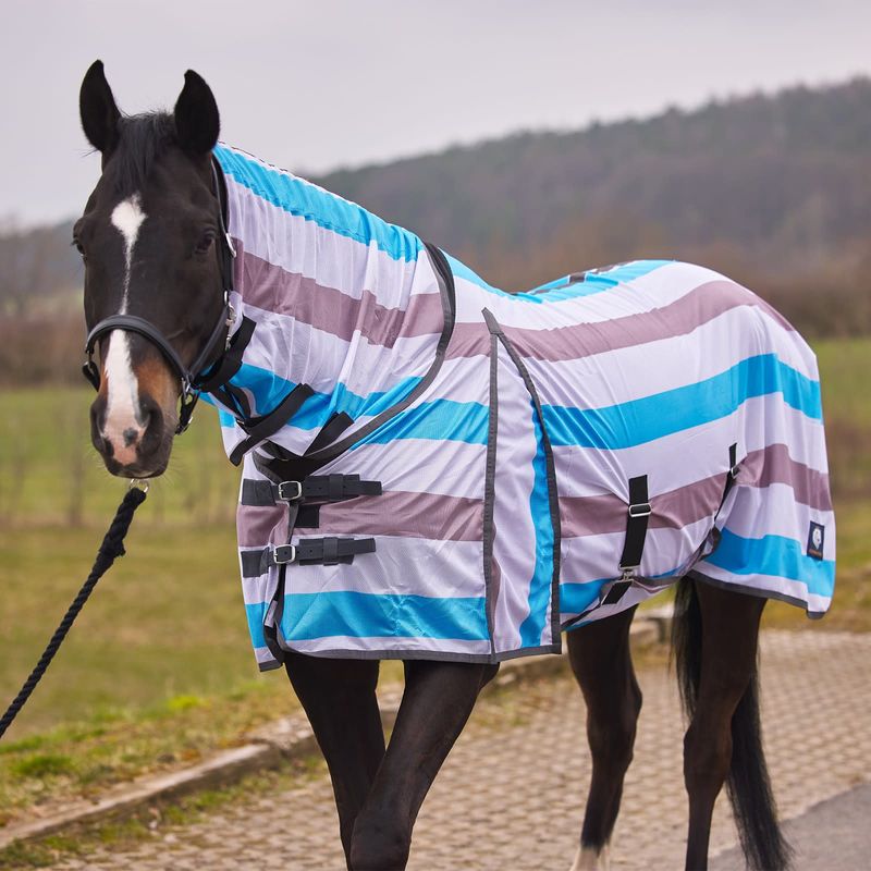 HORZE Combo Neck Fly Sheet with Belly Wrap 