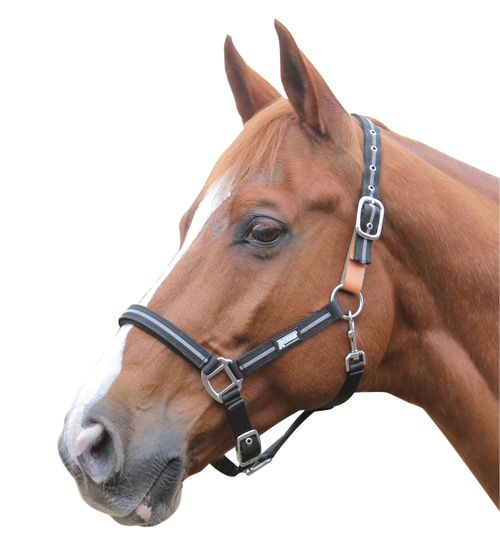 Roma Reflective Breakaway Headcollar - Navy