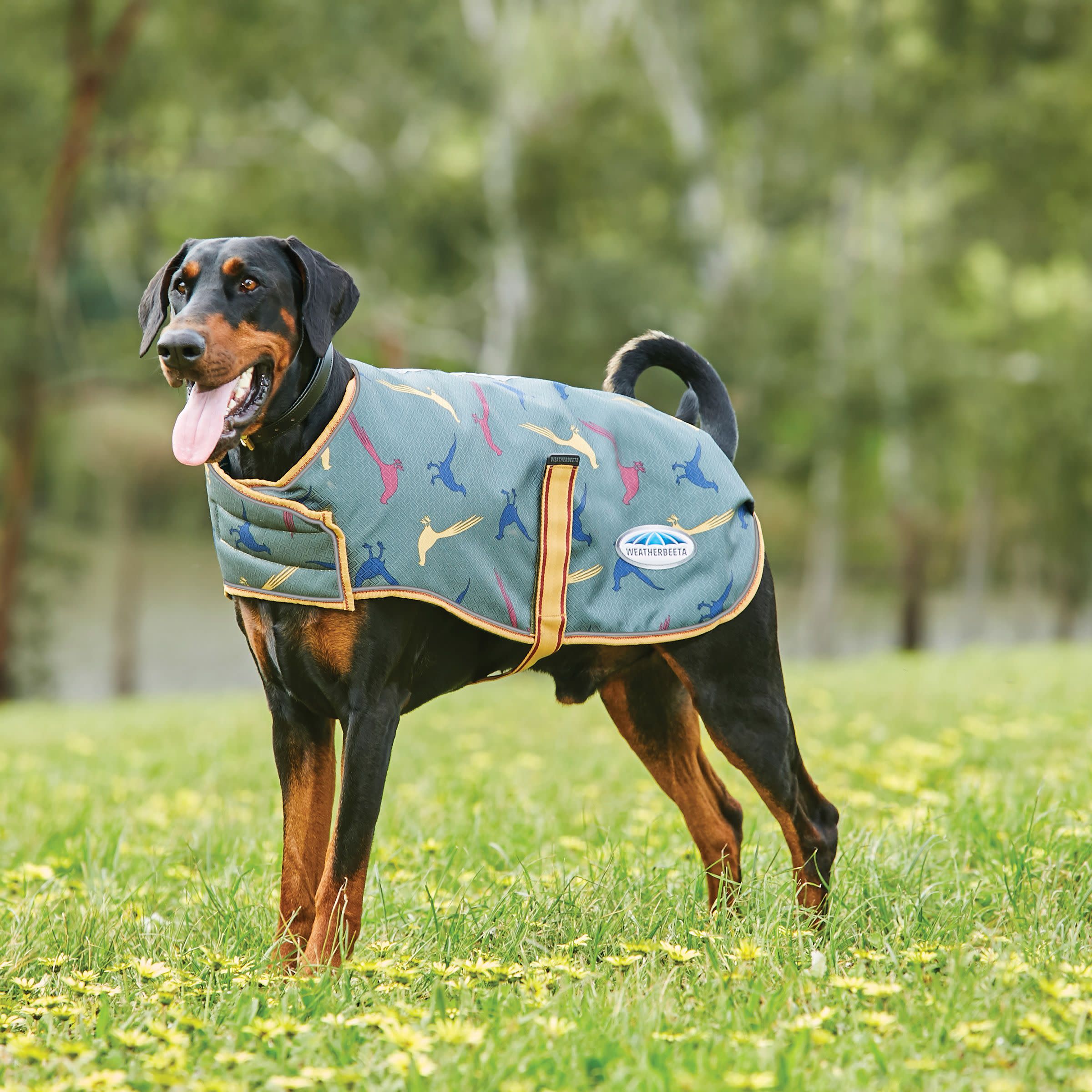 weatherbeeta dog coat pheasant