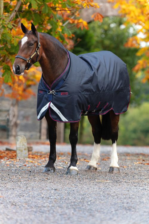 Amigo Bravo 12 XL Original Turnout Lite - Navy/Navy/Red