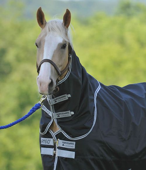 Amigo Stock Horse Hood 0g - Black/Silver