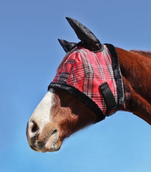 Kensington Signature Fly Mask w/Fleece,Ears and Forelock Hole - Deluxe Red