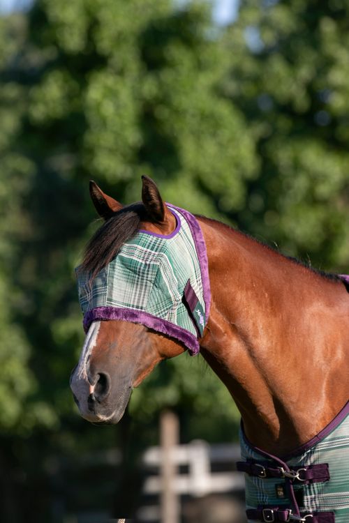 Kensington Fly Mask w/Plush Fleece Trim - Imperial Jade