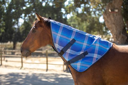 Kensington Textilene Neck Cover - Kentucky Blue