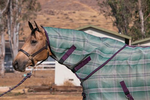 Kensington Textilene Neck Cover - Imperial Jade