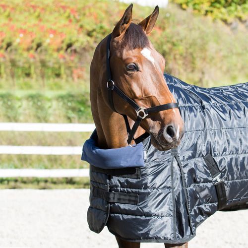 Horze Shoulder Pillow - Blue