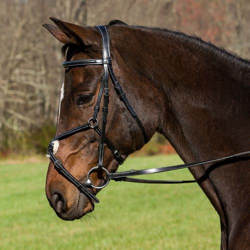 Henri de Rivel Pro Mono Crown Raised Figure Eight Bridle w/Rubber Reins - Black