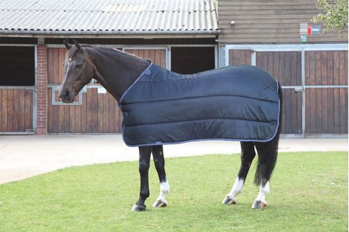 Shires Warma Rug 200 - Black