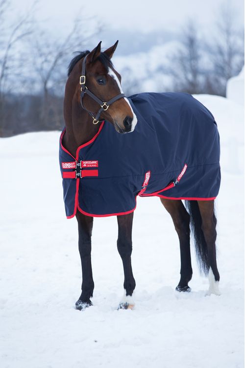 Rambo Original Turnout 200g - Navy/Red