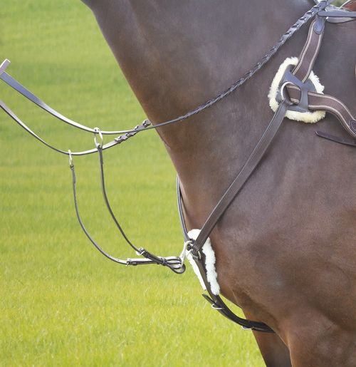 Shires Avignon Five Point Breastplate - Havana
