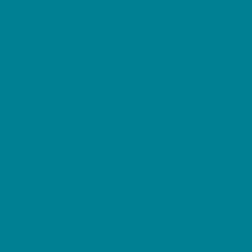 Jammies Designer Hood - Teal