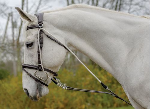 Shires Avignon De Gogue Trainng Aid - Black