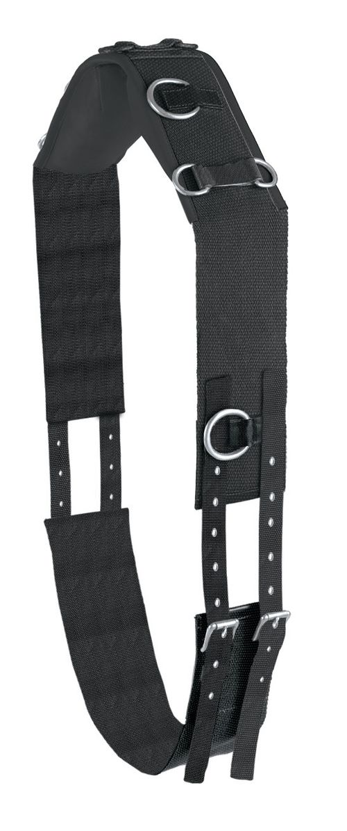 Centaur Web 10-Ring Surcingle - Black