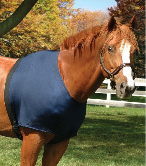 Flex Rider Stretchies Shoulder Guard - Navy