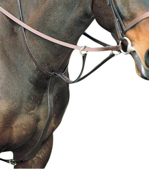 Kincade Flat Running Martingale - Brown