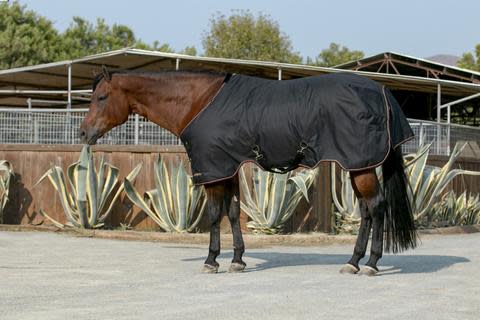 Kensington Signature Light Weight Turnout - Black