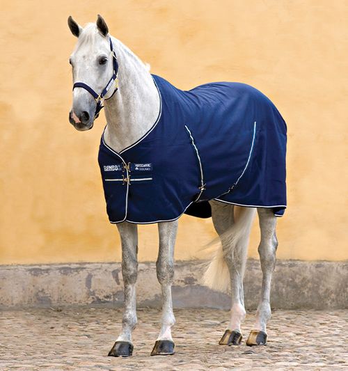 Rambo Stable Sheet - Navy/Navy/White
