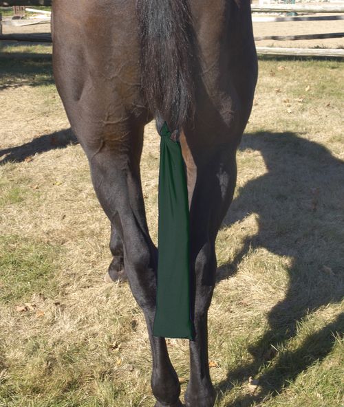 Centaur Spandex Tail Bag - Hunter Green